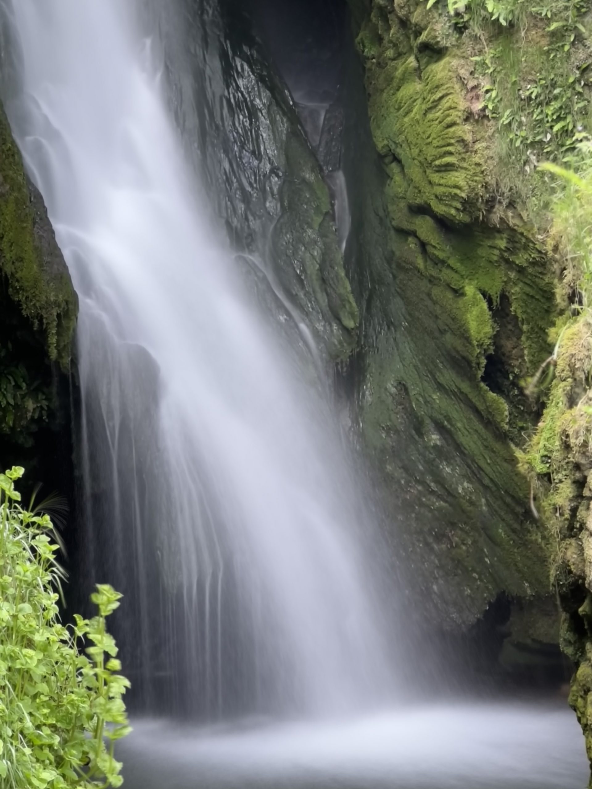Dyserth Falls