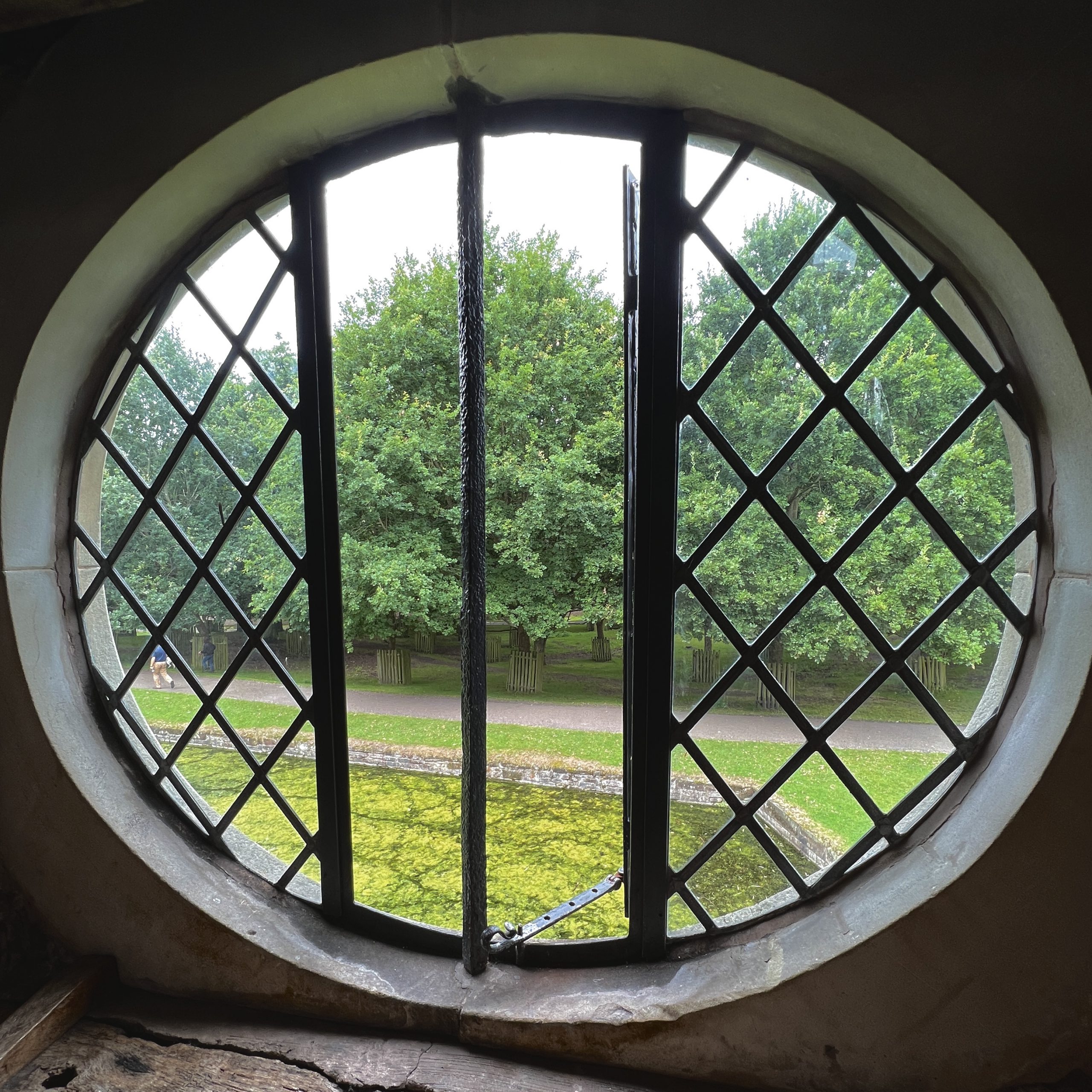 Through the Round Window