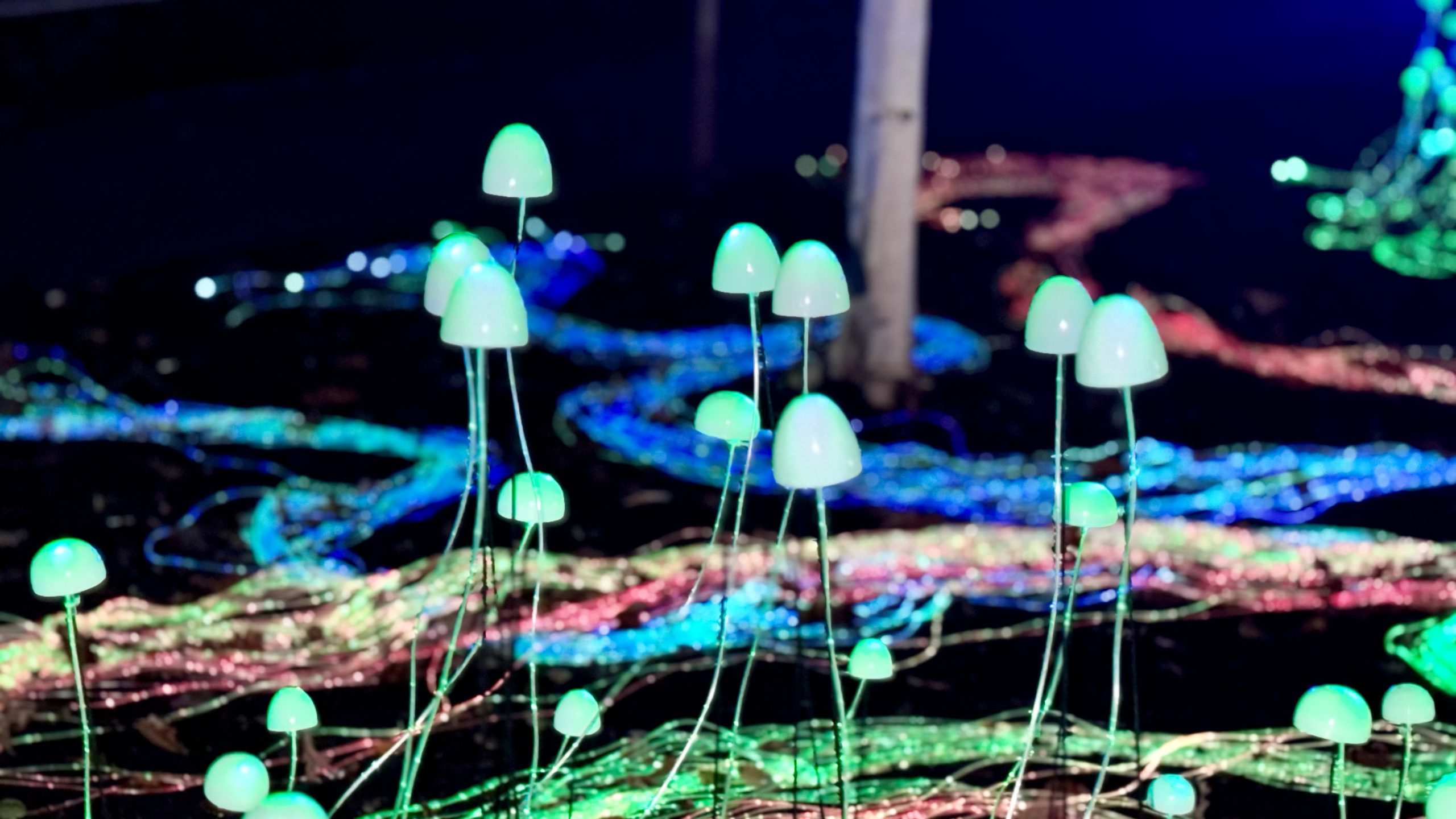 Dunham Christmas Lights – Mushrooms