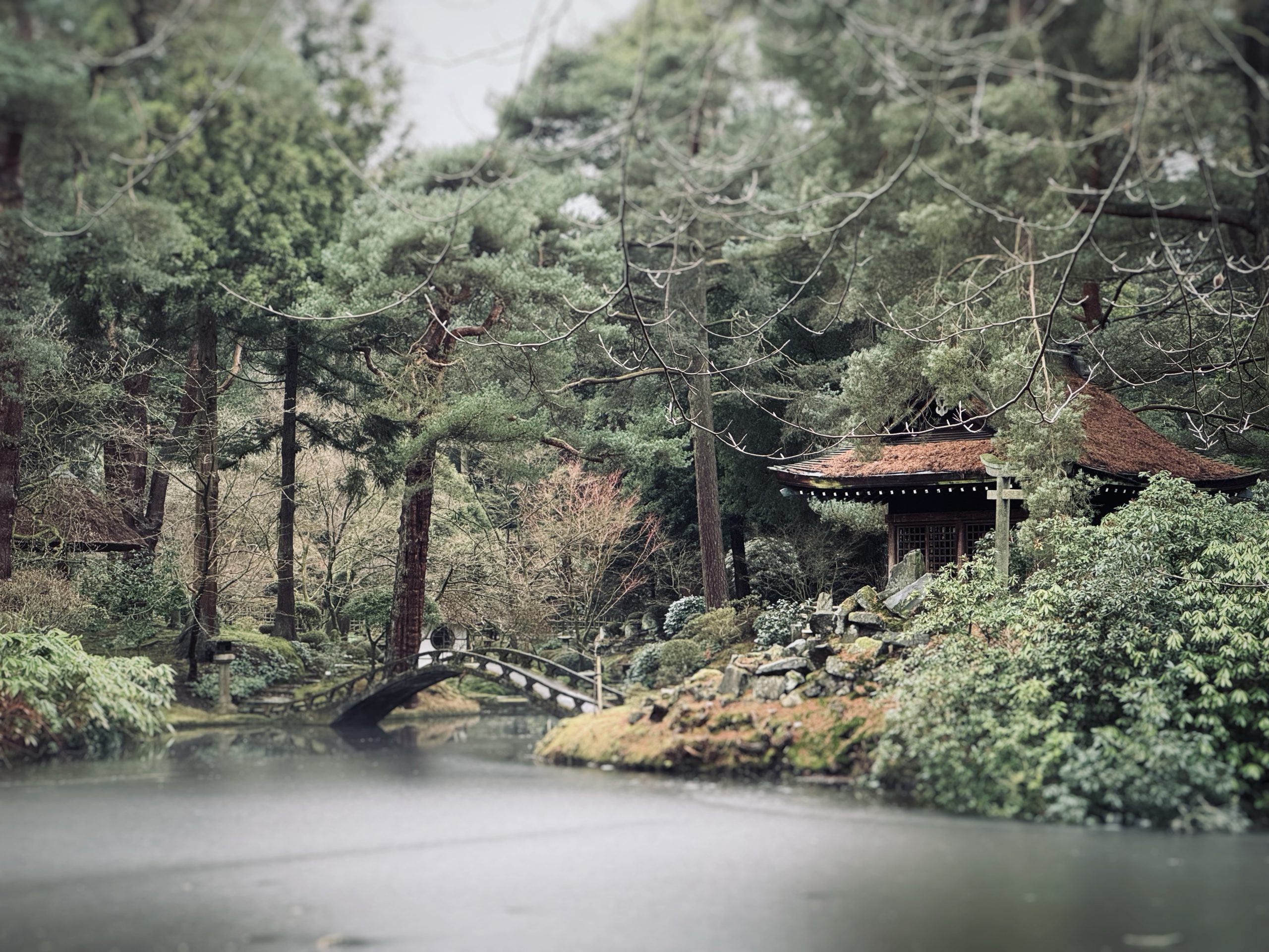 Tatton Park Japanese Garden