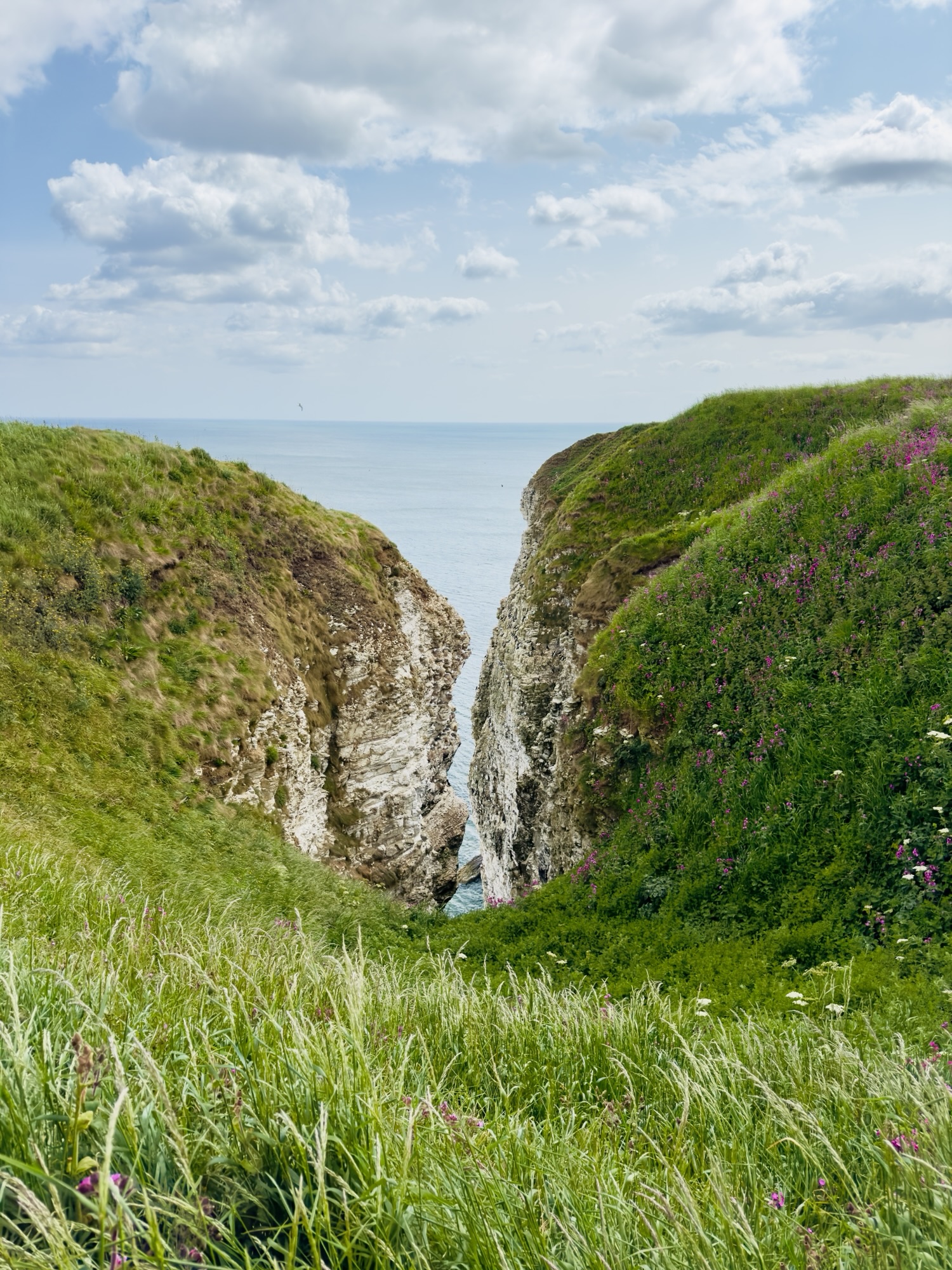 Bempton Cliffs