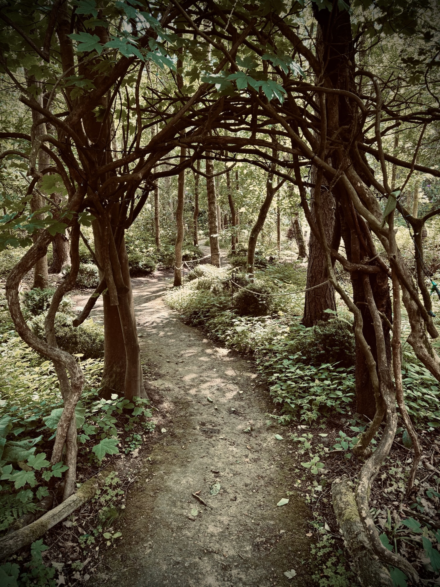 Elven Path