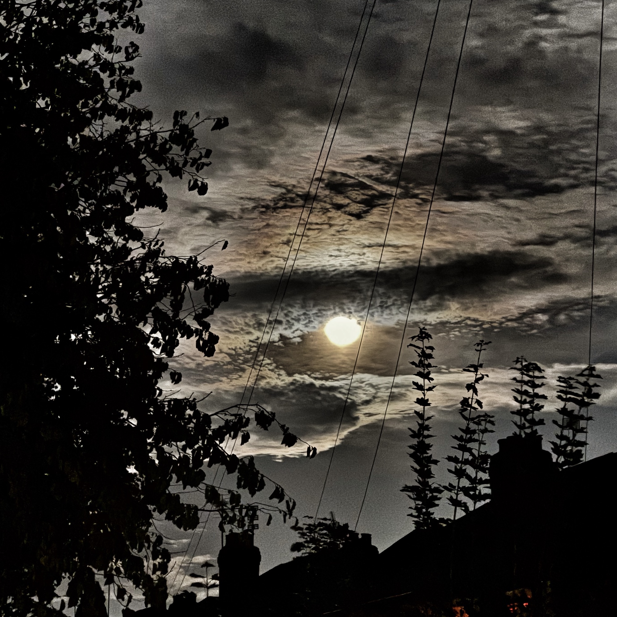 Waxing Gibbous